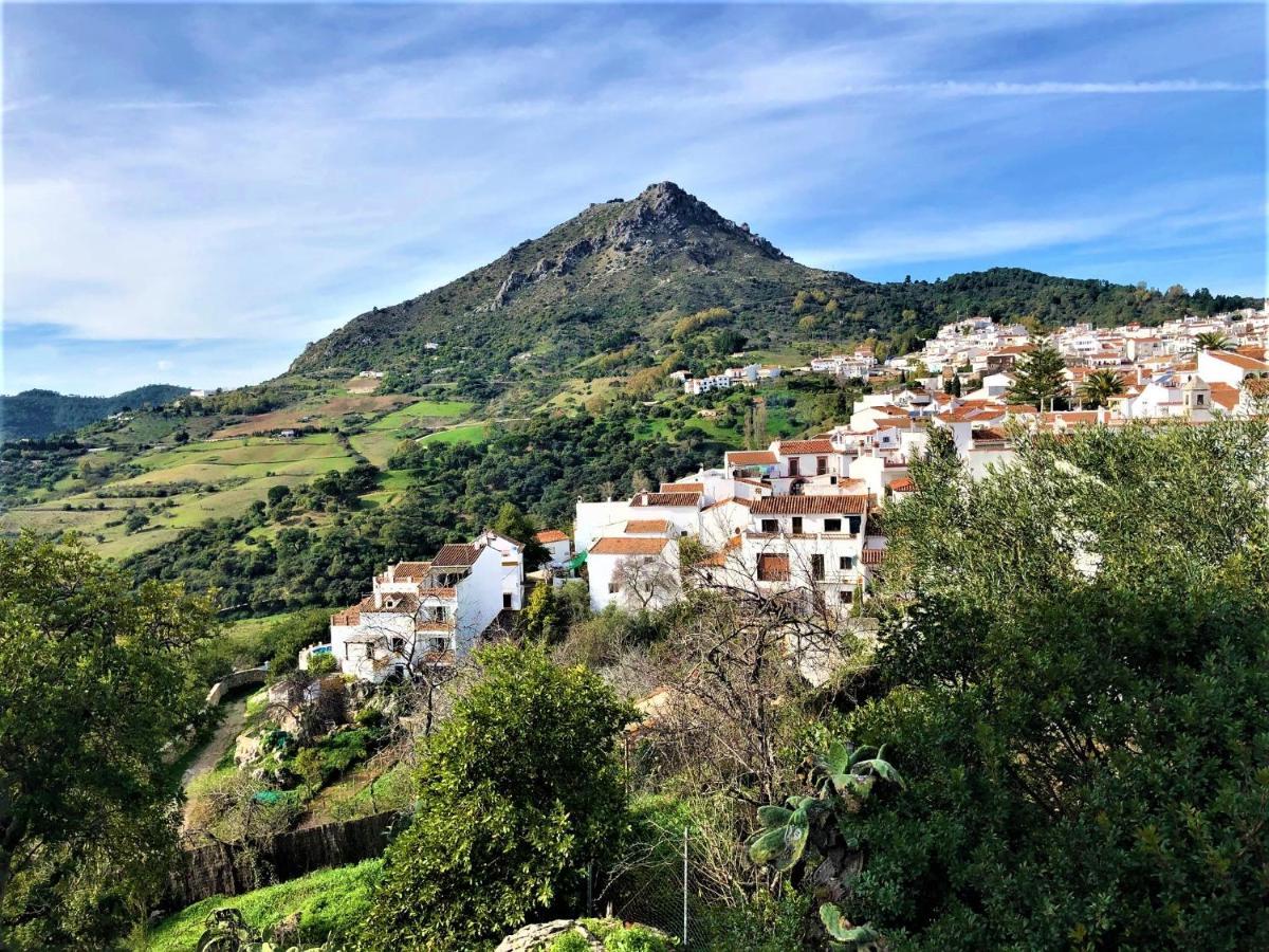 Nilva Mountain - Manilva Villa Exterior foto